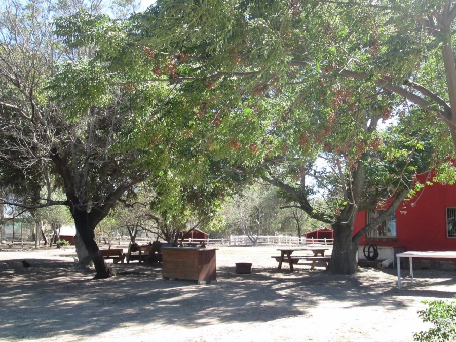 Commercial Property for Sale in Firlands Western Cape